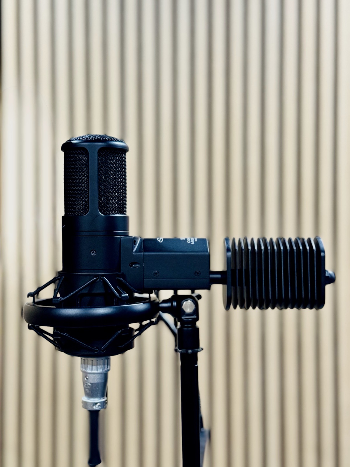 Black tube microphone in its shock mount against the wood-slat wall
